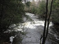 MAD RIVER MIDDLE OSWEGO CENTRAL NY 5-08-2011_00001.JPG