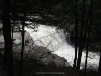 MAD RIVER MIDDLE OSWEGO CENTRAL NY 5-08-2011_00009.JPG