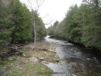 MAD RIVER UPPER OSWEGO CENTRAL NY 5-08-2011_00001.JPG