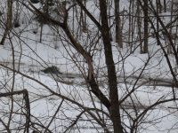 East Nassau Falls Rensselaer County Eastern New York 2-23-2014_00002.JPG