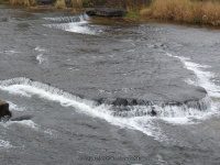 SANDY CREEK LOWER FALLS 10-25-2014_00006.JPG