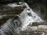 SALMON RIVER OSWEGO CENTRAL NEW YORK 6-10-2010_00020.JPG