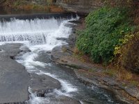 SOUTH PK ADAMS JEFFERSON NORTHERN NY 10-25-2014_00003.JPG