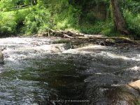 HARRISVILLE LEWIS COUNTY NORTHERN NEW YORK 7-16-2009_00021.JPG
