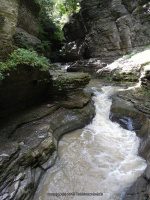 CENTRAL CASCADE in WATKINS GLEN SCHUYLER CENTRAL NY 8-10-2013_00002.JPG