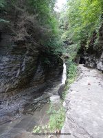 CENTRAL CASCADE in WATKINS GLEN SCHUYLER CENTRAL NY 8-10-2013_00011.JPG