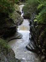 GLEN CATHEDRAL in WATKINS GLEN SCHUYLER CENTRAL NY 8-10-2013_00003.JPG