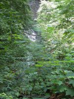 SYLVAN RAPIDS in WATKINS GLEN SCHUYLER CENTRAL NEW YORK 8-10-2013_00005.JPG