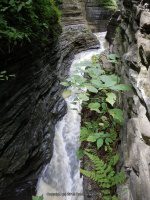 WHISPERING FALLS in WATKINS GLEN SCHUYLER CENTRAL NEW YORK 8-10-2013_00007.JPG