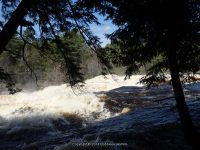 FOWLERSVILLE FALLS LEWIS COUNTY NORTHERN NEW YORK 5-17-2014_00007.JPG