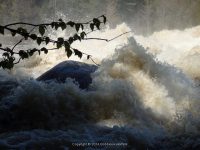 FOWLERSVILLE FALLS LEWIS COUNTY NORTHERN NEW YORK 5-17-2014_00011.JPG
