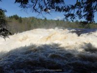 FOWLERSVILLE FALLS LEWIS COUNTY NORTHERN NEW YORK 5-17-2014_00014.JPG