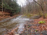 DEER CREEK falls on MOONEY GULF (2) 10-25-2014_00003.JPG