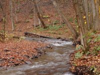 DEER CREEK falls on MOONEY GULF (2) 10-25-2014_00004.JPG