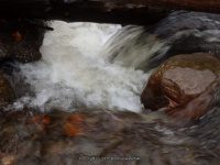 DEER CREEK falls on MOONEY GULF (2) 10-25-2014_00005.JPG