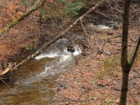 DEER CREEK falls on MOONEY GULF 10-25-2014_00002.JPG