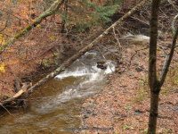 DEER CREEK falls on MOONEY GULF 10-25-2014_00003.JPG