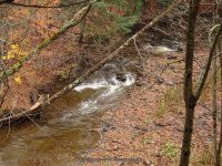 DEER CREEK falls on MOONEY GULF 10-25-2014_00005.JPG