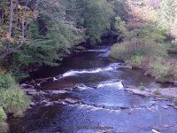 MAD RIVER (Hart Road) ONEIDA COUNTY CENTRAL NEW YORK 9-29-2007_00001.JPG