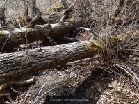 BAKERS FALLS ONEIDA NY 4-19-2015_00067.JPG