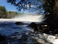 FOWLERSVILLE FALLS LEWIS COUNTY NORTHERN NEW YORK 5-17-2014_00021.JPG