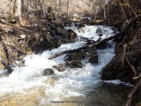 OXBOW FALLS MADISON NY 4-12-2015_00007.JPG