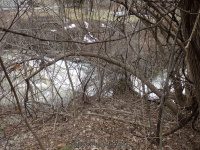 FIDDLERS GREEN PARK ONONADAGA NY 4-5-2015_00005.JPG