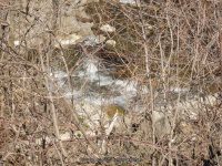 COYE ROAD ONONADAGA NY 4-29-2015_00001.JPG
