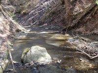 GUPPY FALLS ONONADAGA NY 4-29-2015_00036.JPG