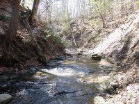 GUPPY FALLS ONONADAGA NY 4-29-2015_00037.JPG