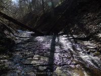 GUPPY FALLS ONONADAGA NY 4-29-2015_00043.JPG