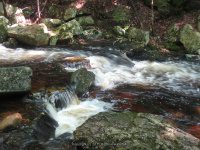 BEARS DEN FALLS FRANKLIN MA 8-01-2009_00005.JPG