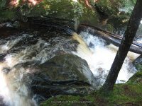 BEARS DEN FALLS FRANKLIN MA 8-01-2009_00007.JPG