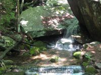 BRIGGS BROOK FALLS FRANKLIN MA 8-01-2009_00002.JPG