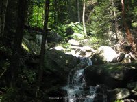 BRIGGS BROOK FALLS FRANKLIN MA 8-01-2009_00005.JPG