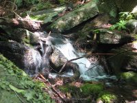 BRIGGS BROOK FALLS FRANKLIN MA 8-01-2009_00008.JPG