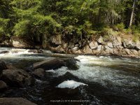 AUGAR UPPER SECTION 5-10-2015_00002.JPG