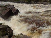 POWERLINE III RAPIDS LEWIS COUNTY NORTHERN NEW YORK 5-17-2014_00005.JPG