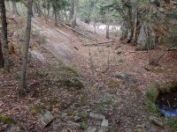 GRIFFEN TRAIL AND PARKING 5-10-2015_00009.JPG