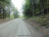 RIVER ROAD HAMILTON NY 5-10-2015_00003.JPG