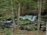 BEECHER CREEK 3 SARATOGA 5-10-2015_00002.JPG