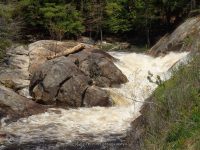 T-BONE FALLS LEWIS COUNTY NORTHERN NEW YORK 5-17-2014_00004.JPG