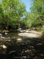 WYNANTS KILL FALLS ON 1 5-14-2015_00011.JPG