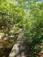 WYNANTS KILL FALLS ON 2 5-14-2015_00001.JPG