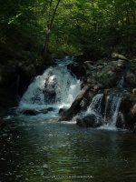 WYNANTS KILL FALLS ON 3 5-14-2015_00005.JPG