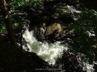 WYNANTS KILL FALLS ON 5 5-14-2015_00004.JPG