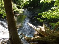 WYNANTS KILL FALLS ON 5 5-14-2015_00012.JPG