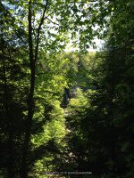 INMAN GULF RAINBOW FALLS 5-23-2015_00001.JPG