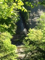 INMAN GULF RAINBOW FALLS 5-23-2015_00003.JPG