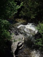 MARTINSBURG FALLS 6-7-2015_00008.JPG